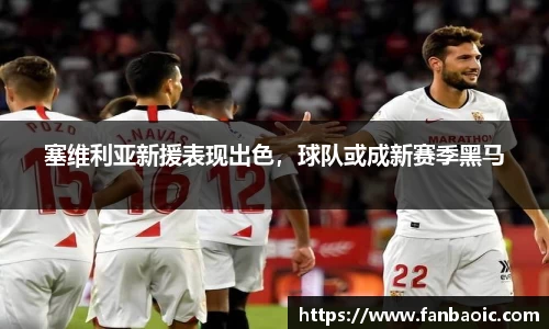 塞维利亚新援表现出色，球队或成新赛季黑马